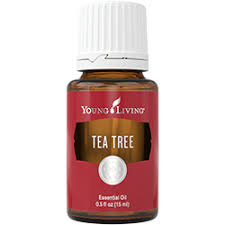 Aceite esencial árbol de té Young Living 15 ml